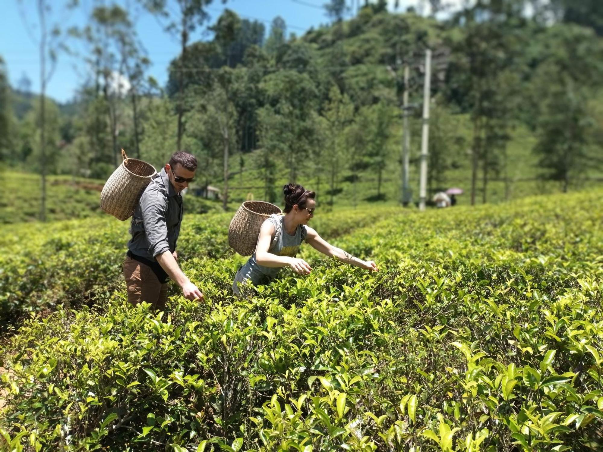 Gk Villa Nuwara Eliya Luaran gambar